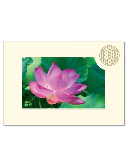 Klappkarte BdL "Lotusblüte" 11