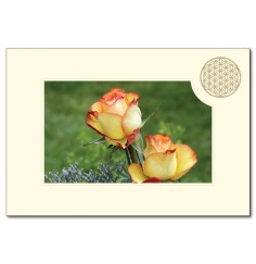 Klappkarte - Blume des Lebens - Rose- 11,5x16,7cm (mit Kuvert B6)