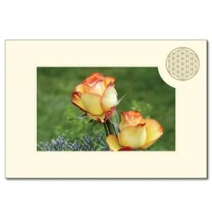 Klappkarte - Blume des Lebens - Rose- 11,5x16,7cm (mit Kuvert B6)