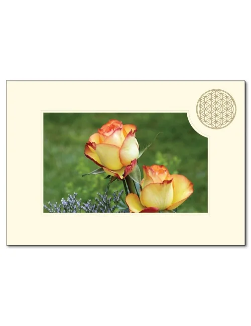 Klappkarte BdL "Rose" 11