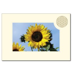 Klappkarte - Blume des Lebens - Sonnenblume- 11,5x16,7cm (mit Kuvert B6)