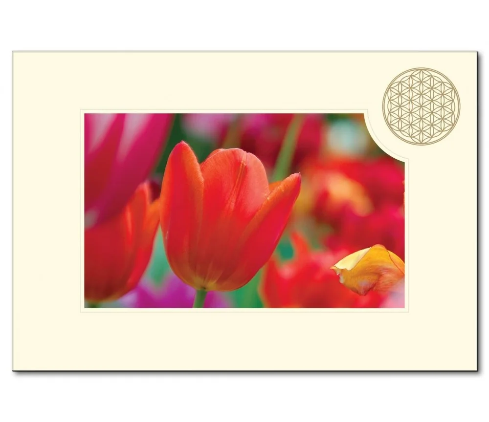 Klappkarte - Blume des Lebens - Tulpe- 11,5x16,7cm (mit Kuvert B6)