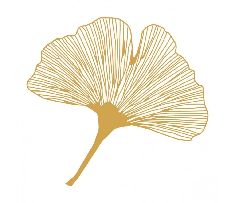 Aufkleber Set 4x3cm/1x7,5cm gold-transparent "Ginkgo"