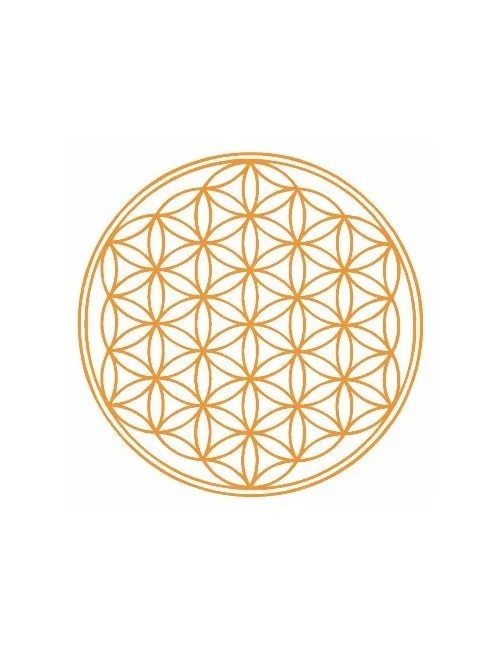 Outdoor-Aufkleber "Blume des Lebens" orange 9