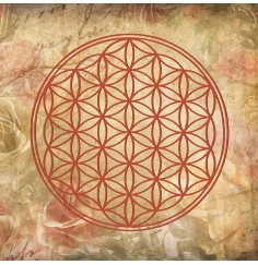 Leinwanddruck "Blume des Lebens" antik Rosen 40x40cm