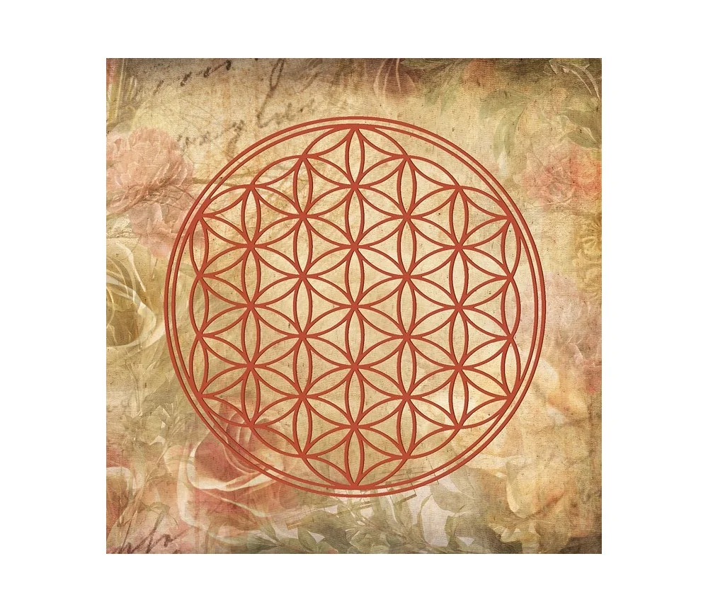 Leinwanddruck "Blume des Lebens" antik Rosen 40x40cm