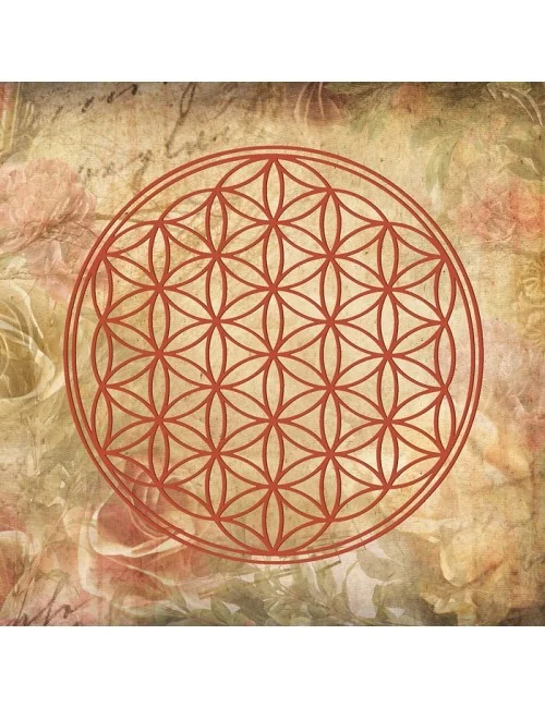 Leinwanddruck "Blume des Lebens" antik Rosen 40x40cm