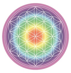 Getränke-Untersetzer Blume des Lebens, Pappe rund, Ø10,7cm, 1,4mm dick, SET6