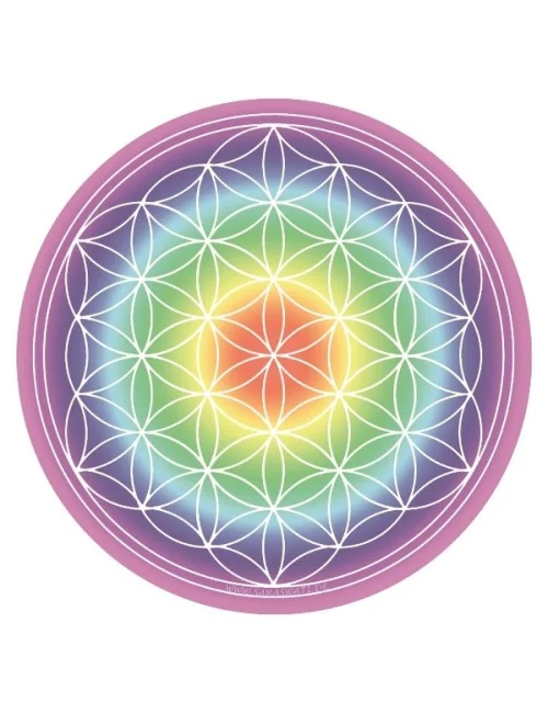 Getränke-Untersetzer Blume des Lebens