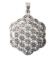 Anhänger -  Blume des Lebens- Bronze versilbert 9,7g 3cm
