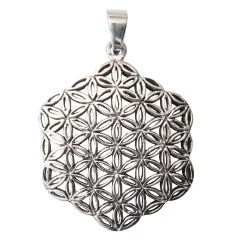 Anhänger - Blume des Lebens- Bronze versilbert 9,7g 3cm