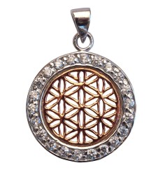 Anhänger -  Blume des Lebens- mit 22 Zirkonia 925 Silber vergoldet 2cm, 2,6g.