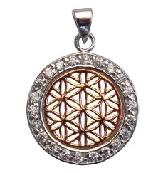 Anhänger - Blume des Lebens- mit 22 Zirkonia 925 Silber vergoldet 2cm, 2,6g.