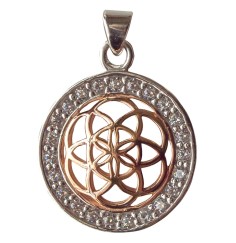 Anhänger -  Saat des Lebens- mit 23 Zirkonia 925 Silber vergoldet 2cm, 2,6g.