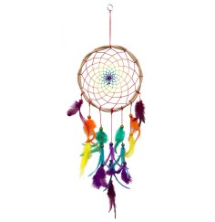 Traumfänger "Twisted Rainbow" Rattan 22x50cm