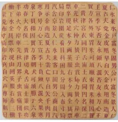 Kissenbezug "Kalligraphie" Baumwolle goldgelb 40x40cm