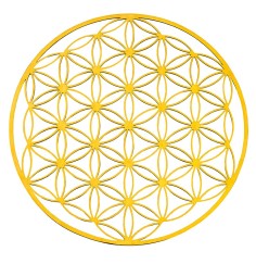 Blume des Lebens aus Edelstahl vergoldet 12cm