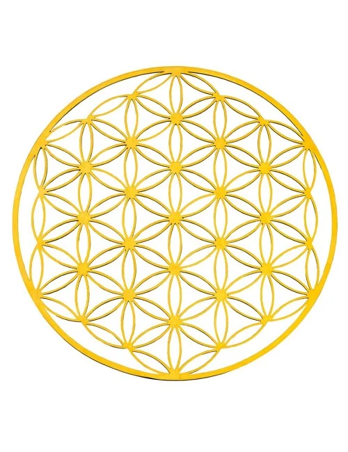 Blume des Lebens aus Edelstahl vergoldet 12cm
