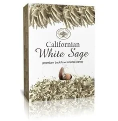 Green Tree backflow Cones "White Sage" 12 Stk (Rückfluss Kegel)