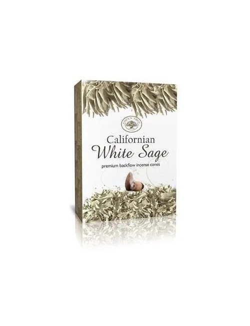 Green Tree backflow Cones "White Sage" 12 Stk (Rückfluss Kegel)