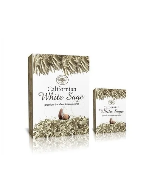 Green Tree backflow Cones "White Sage" 12 Stk (Rückfluss Kegel)