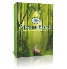 Green Tree backflow Cones "Mother Earth" 12 Stk (Rückfluss Kegel)
