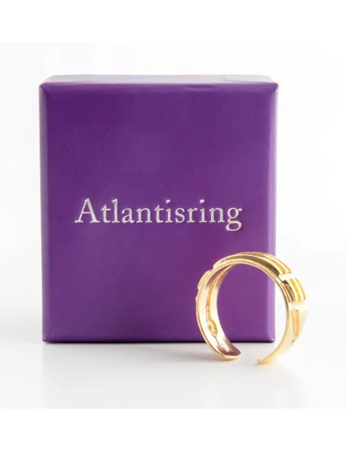 Ring - Atlantisring Damen vergoldet