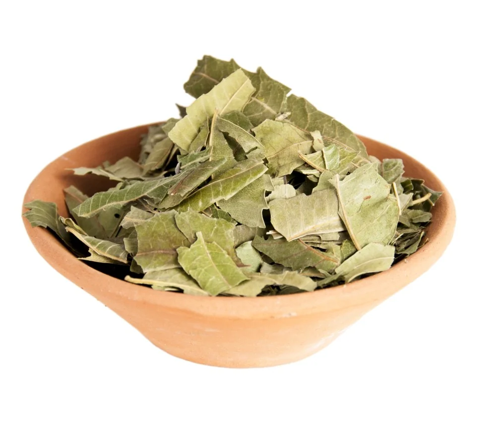 Holy Smokes - Räucherwerk in Tüten - Neemblätter