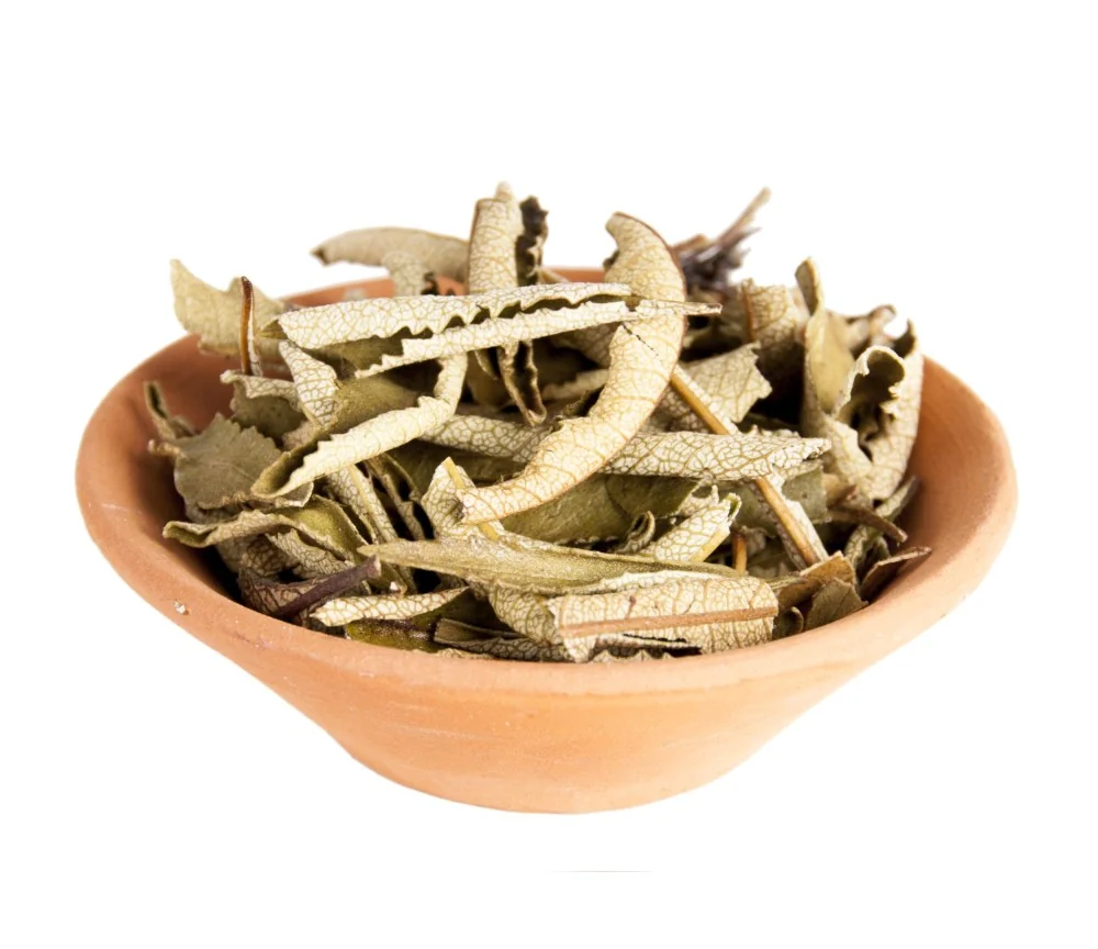 Holy Smokes - Räucherwerk in Tüten - Yerba Santa