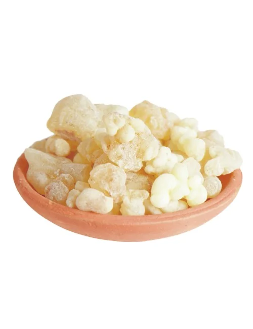 Räucherware- Reine Harze- Olibanum Eritrea