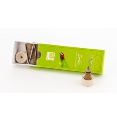 Hoy Smokes - Räucherkegel - Green Line - Zeder