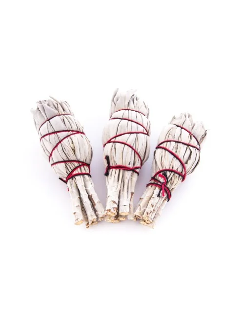 Smudge Bündel Mini - weißer Salbei 3 erPack - ca.10 cm