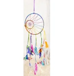 Traumfänger aus Naturmaterialien - Rainbow - ca. 55x15 cm