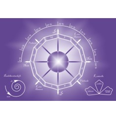 Pendelkarten Set - mit 10 Stück im Set