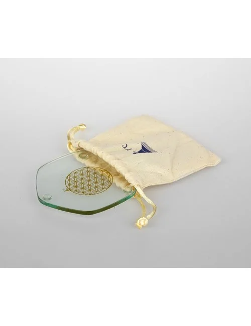 Voyagerplatte Golden 9 cm, im Beutel zum mitnehmen