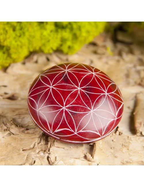 Handschmeichler Lebensblume