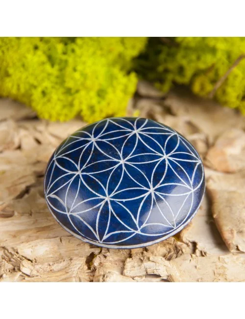 Handschmeichler Lebensblume