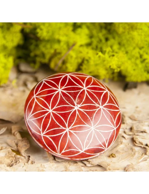 Handschmeichler Lebensblume