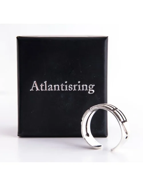 Ring - Atlantisring Herren vergoldet