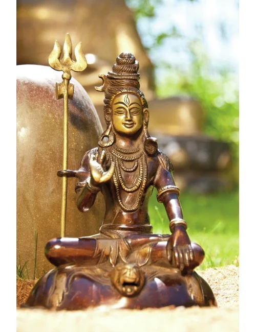 Shiva 18 cm