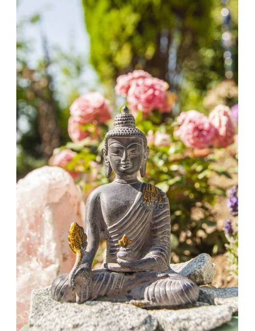 Medizin Buddha