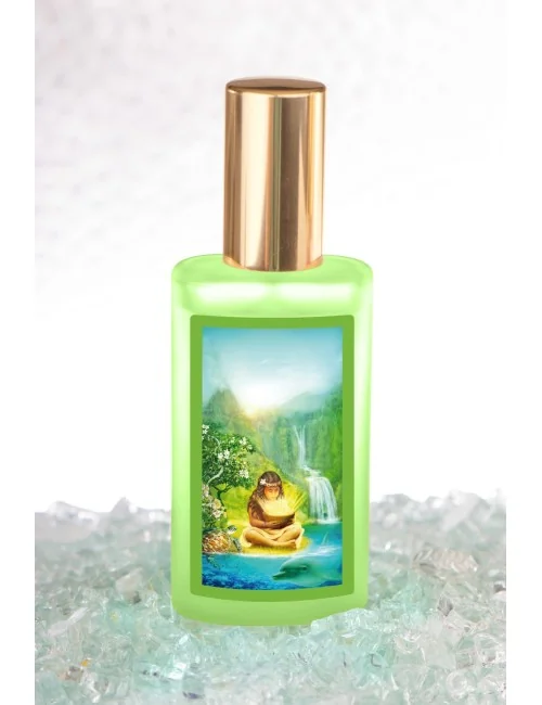 Bowl of Light - SeelenTor Essenz