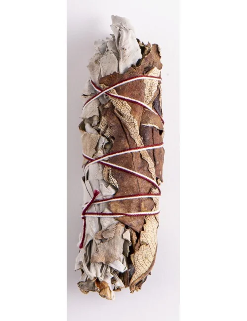 Weißer Salbei/Yerba Santa Mini Kräuterbündel