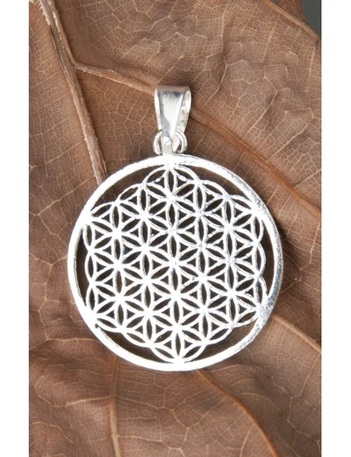 Anhänger - Blume des Lebens aus Messing - versilbert ca. 3cm