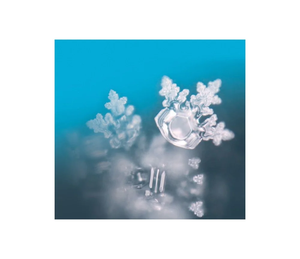 Seelentor Essenzen - Goldene Essenz - Goldener Schutz 50 ml