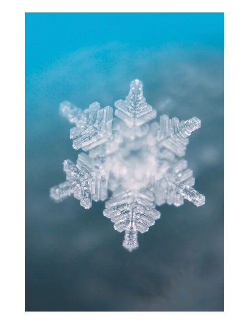 Seelentor Essenzen - Rosa Essenz - Herzöffnung 50 ml