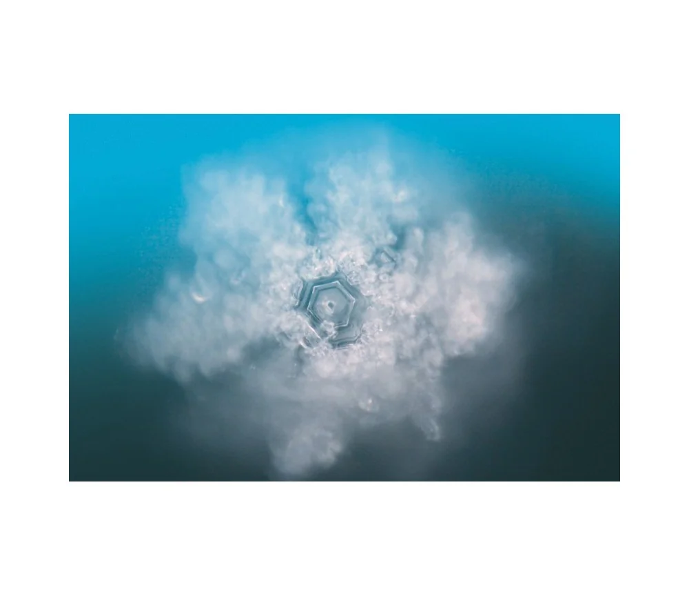 Seelentor Essenzen - Rosa Essenz - Herzöffnung 50 ml