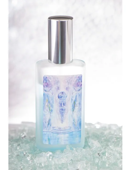 Seelentor Essenzen - Türkise Essenz - Freiheit & Klärung 50 ml