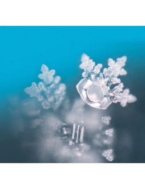 Seelentor Essenzen - Türkise Essenz - Freiheit & Klärung 50 ml