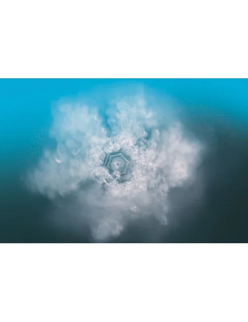 Seelentor Essenzen - Weiße Essenz - Achtsamkeit 50 ml